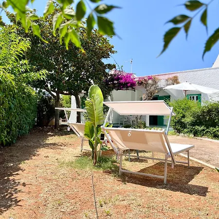 Delle Bougainvillee Holiday home *